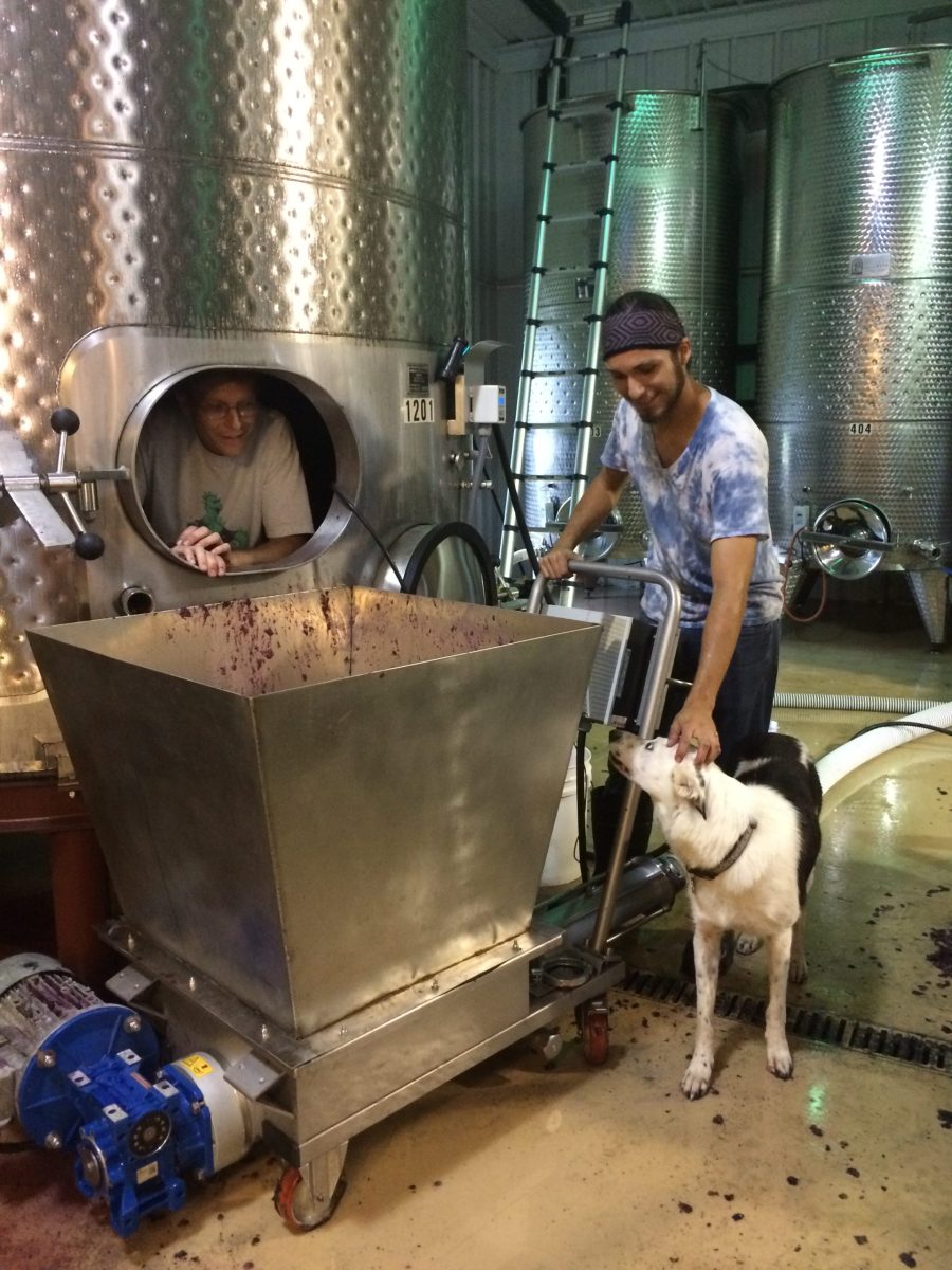Winemaking with the best team Damian and Lilly